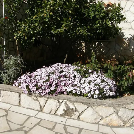 Eta Apartman Cres